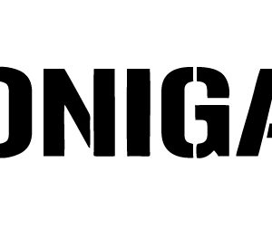 Стикер HOONIGAN